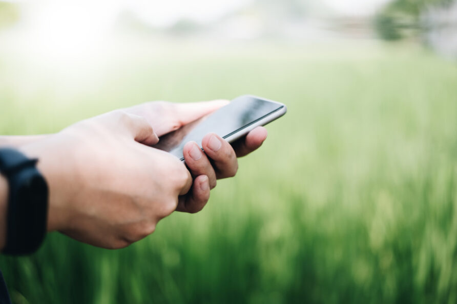 hands using mobile phone in a field