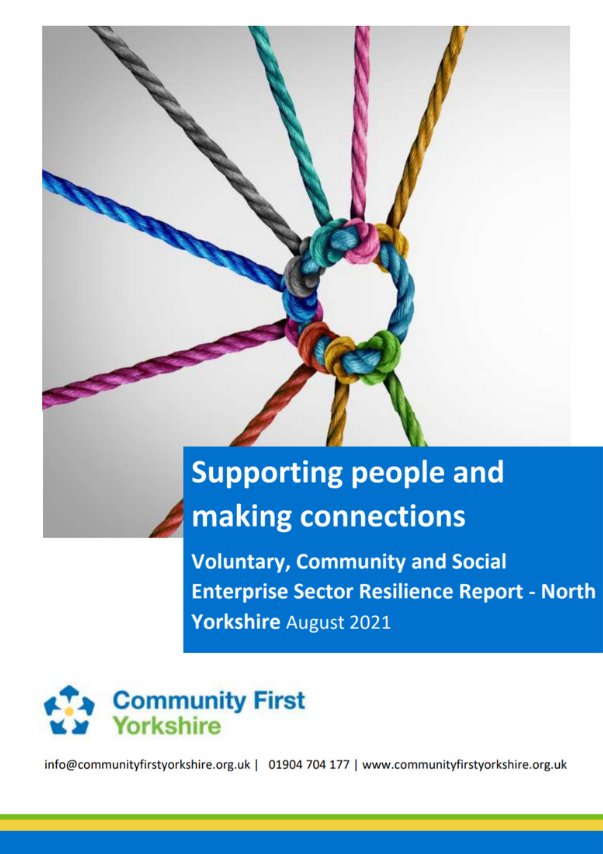 Front cover of resilience survey report