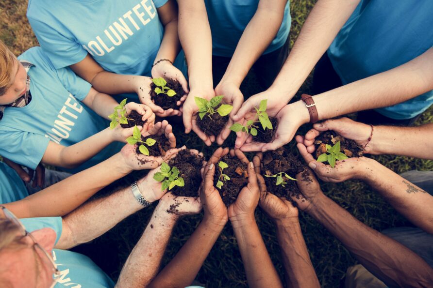 A group of people holding seedlings in their hands to represent volunteering together